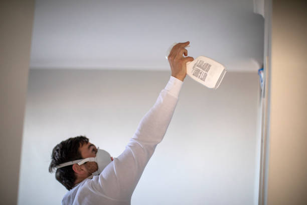 Best Best Mold Removal Companies  in University Of Pittsburgh Johnstown, PA